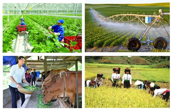 Định hướng truyền thông về nông nghiệp và môi trường năm 2025
